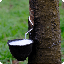 How It Works Image - Eco Waist Trainer